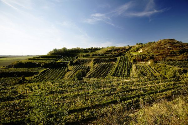 Panoramablick auf das Wadentahl