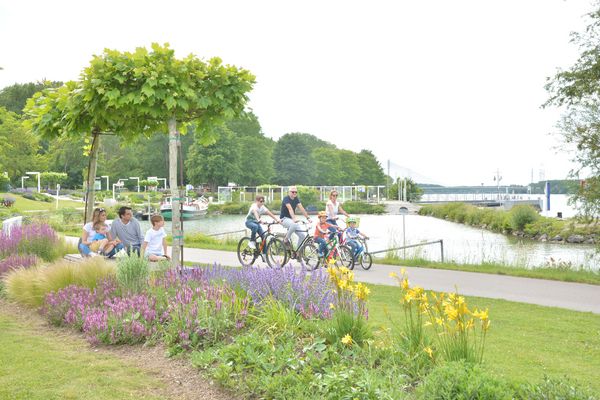 Cyclists on the Donaulände Tulln