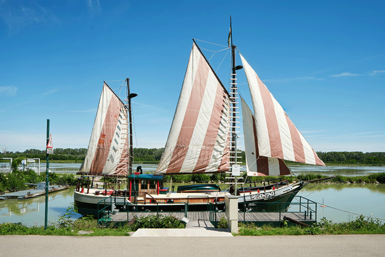 Hundertwassers Schiff REGENTAG: Übergabe nach Restaurierung am 29. Juni