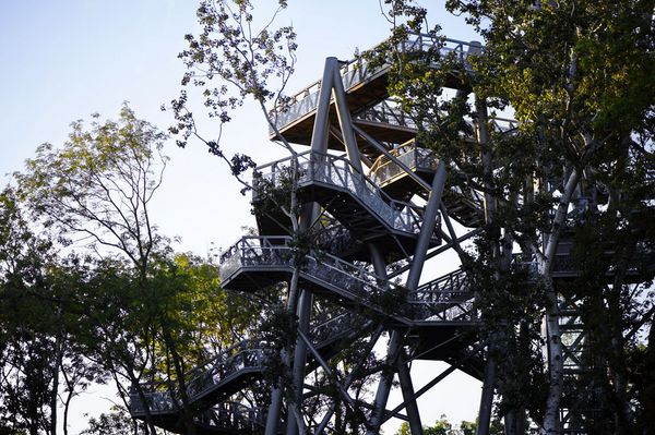 Blick auf den Baumwipfelweg