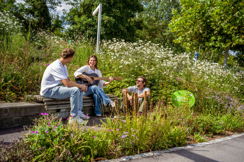 Freunde sitzen auf Blumentreppe und spielen Gitarre